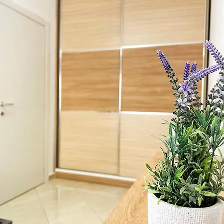 Comfort 1121 Apartment *